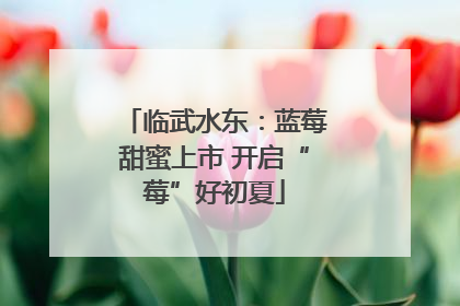 临武水东：蓝莓甜蜜上市 开启“莓”好初夏