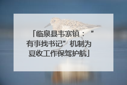 临泉县韦寨镇：“有事找书记”机制为夏收工作保驾护航
