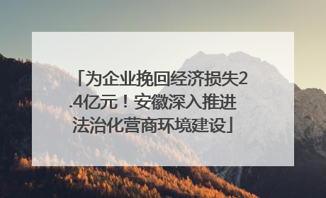 为企业挽回经济损失2.4亿元！安徽深入推进法治化营商环境建设