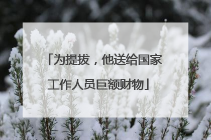 为提拔，他送给国家工作人员巨额财物