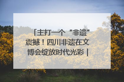 主打一个“非遗”震撼！四川非遗在文博会绽放时代光彩｜文博向“新”