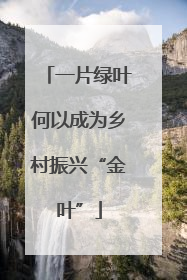 一片绿叶何以成为乡村振兴“金叶”