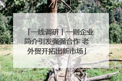 一线调研丨一则企业简介引发强强合作 老外贸开拓出新市场