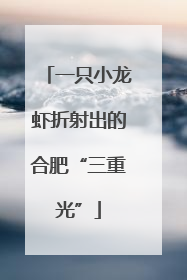 一只小龙虾折射出的合肥“三重光”