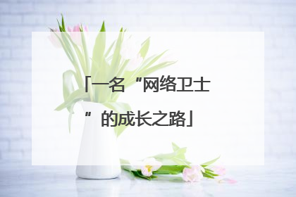 一名“网络卫士”的成长之路
