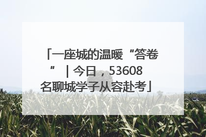一座城的温暖“答卷”|今日,53608名聊城学子从容赴考
