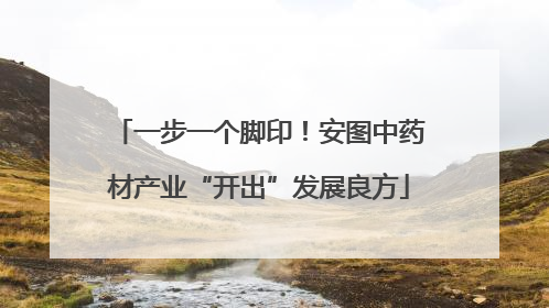 一步一个脚印！安图中药材产业“开出”发展良方