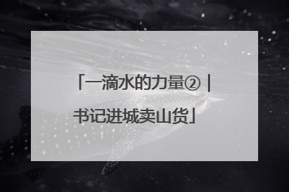 一滴水的力量②｜书记进城卖山货