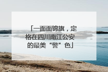 一面面锦旗，定格在四川南江公安的最美“警”色