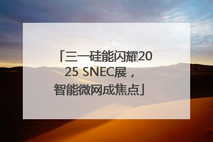 三一硅能闪耀2025 SNEC展，智能微网成焦点