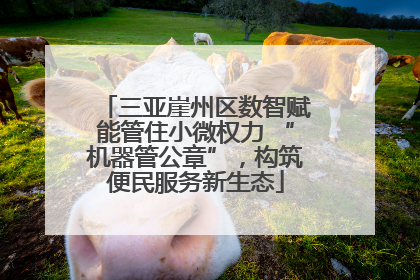 三亚崖州区数智赋能管住小微权力 “机器管公章”，构筑便民服务新生态