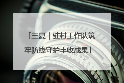 三夏｜驻村工作队筑牢防线守护丰收成果