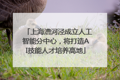 上海漕河泾成立人工智能分中心，将打造AI技能人才培养高地