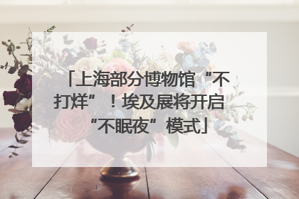 上海部分博物馆“不打烊”！埃及展将开启“不眠夜”模式