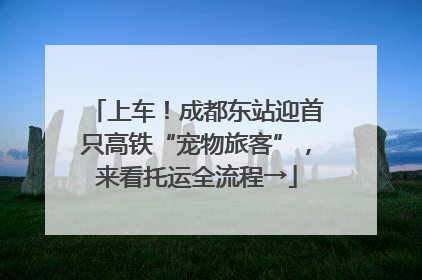 上车！成都东站迎首只高铁“宠物旅客”，来看托运全流程→