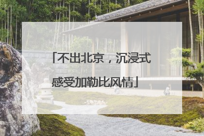 不出北京，沉浸式感受加勒比风情