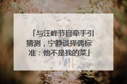 与汪峰节目牵手引猜测，宁静谈择偶标准：他不是我的菜