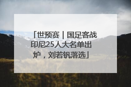 世预赛｜国足客战印尼25人大名单出炉，刘若钒落选