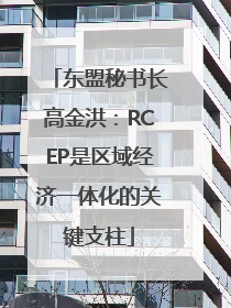 东盟秘书长高金洪：RCEP是区域经济一体化的关键支柱
