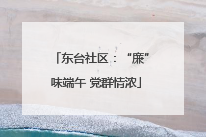 东台社区：“廉”味端午 党群情浓
