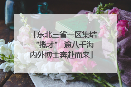 东北三省一区集结“揽才” 逾八千海内外博士奔赴而来