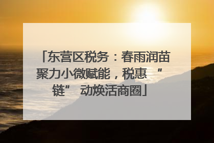 东营区税务：春雨润苗聚力小微赋能，税惠 “链” 动焕活商圈