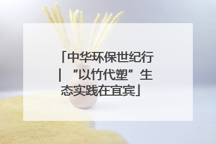 中华环保世纪行｜“以竹代塑”生态实践在宜宾
