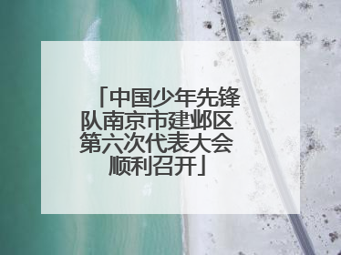 中国少年先锋队南京市建邺区第六次代表大会顺利召开