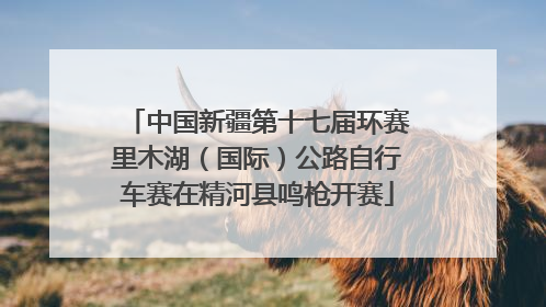 中国新疆第十七届环赛里木湖（国际）公路自行车赛在精河县鸣枪开赛