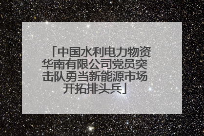 中国水利电力物资华南有限公司党员突击队勇当新能源市场开拓排头兵