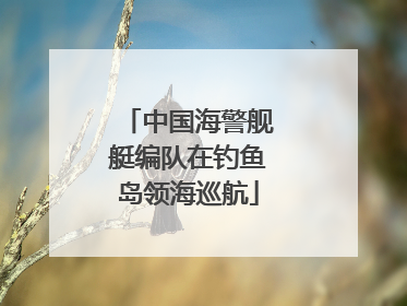 中国海警舰艇编队在钓鱼岛领海巡航