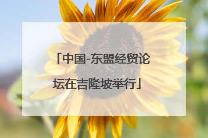 中国-东盟经贸论坛在吉隆坡举行