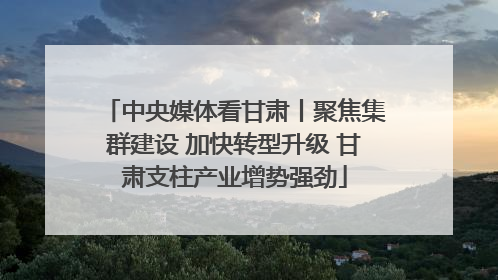 中央媒体看甘肃丨聚焦集群建设 加快转型升级 甘肃支柱产业增势强劲