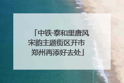 中铁·泰和里唐风宋韵主题街区开市 郑州再添好去处