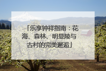 乐享钟祥指南：花海、森林、明显陵与古村的完美邂逅