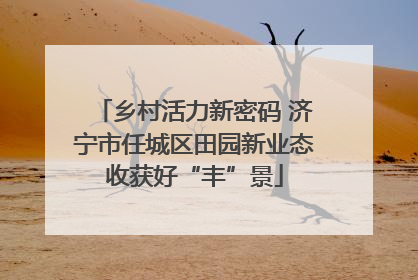 乡村活力新密码 济宁市任城区田园新业态收获好“丰”景