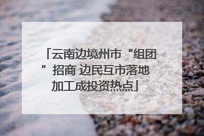 云南边境州市“组团”招商 边民互市落地加工成投资热点