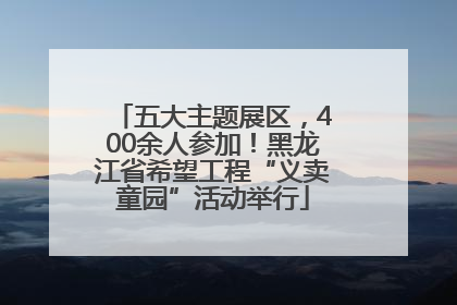 五大主题展区，400余人参加！黑龙江省希望工程“义卖童园”活动举行