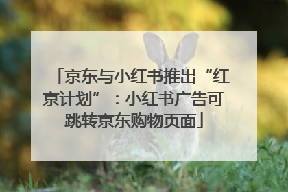 京东与小红书推出“红京计划”：小红书广告可跳转京东购物页面
