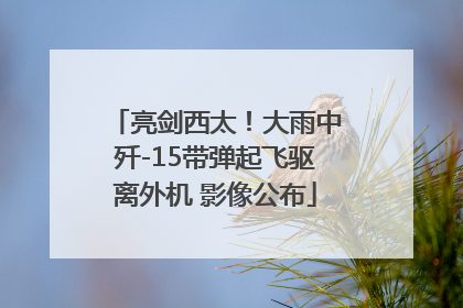 亮剑西太！大雨中歼-15带弹起飞驱离外机 影像公布