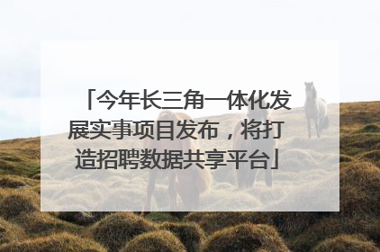 今年长三角一体化发展实事项目发布，将打造招聘数据共享平台