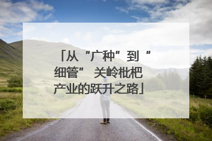 从“广种”到“细管” 关岭枇杷产业的跃升之路