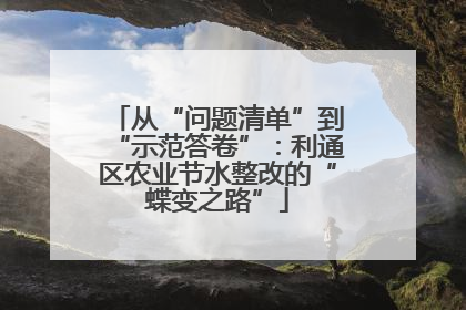 从“问题清单”到“示范答卷”：利通区农业节水整改的“蝶变之路”
