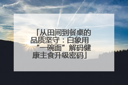 从田间到餐桌的品质坚守：白象用“一碗面”解码健康主食升级密码