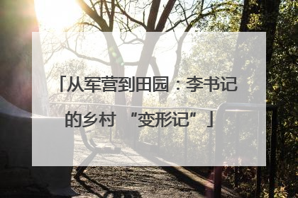 从军营到田园：李书记的乡村 “变形记”