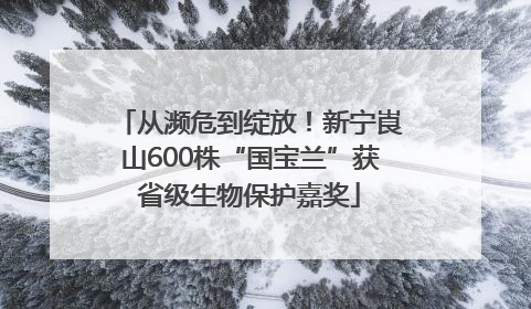 从濒危到绽放！新宁崀山600株“国宝兰”获省级生物保护嘉奖
