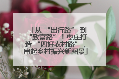 从 “出行路” 到 “致富路”！枣庄打造 “四好农村路”，串起乡村振兴新图景