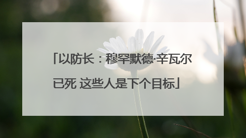 以防长：穆罕默德·辛瓦尔已死 这些人是下个目标