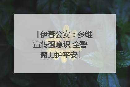 伊春公安：多维宣传强意识 全警聚力护平安