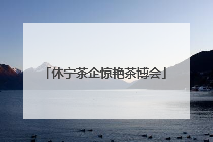 休宁茶企惊艳茶博会